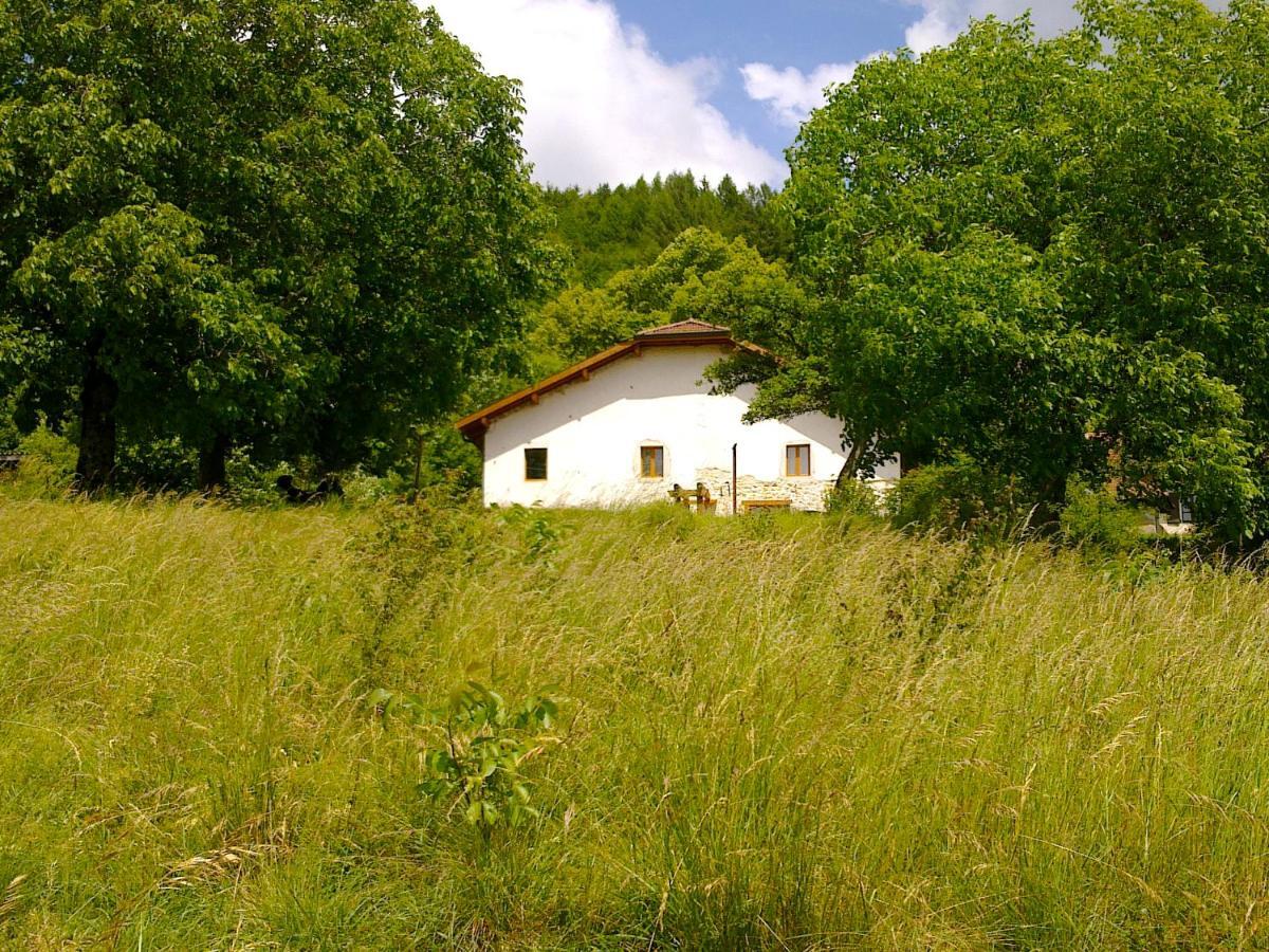 Bed and Breakfast Chez Louve Bleue Hotonnes Exteriér fotografie